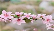 中央重磅文件 | “西部大开发”升级版发布,环境企业有什么机遇?